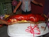 Large – Estimated No. of People: 45-55 lechon pig from cebu